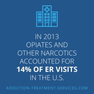Percentage of ER Visits From Opiates and Narcotics in 2013