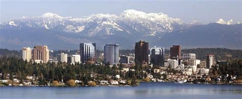 bellevue inpatient drug rehab