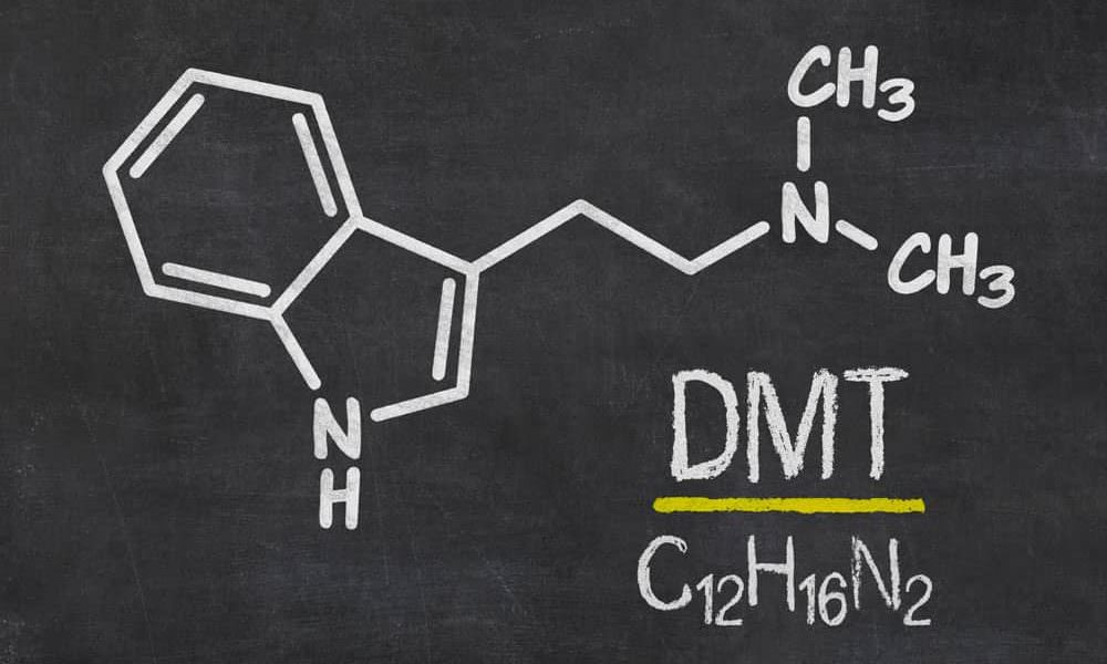 DMT symptoms and warning signs