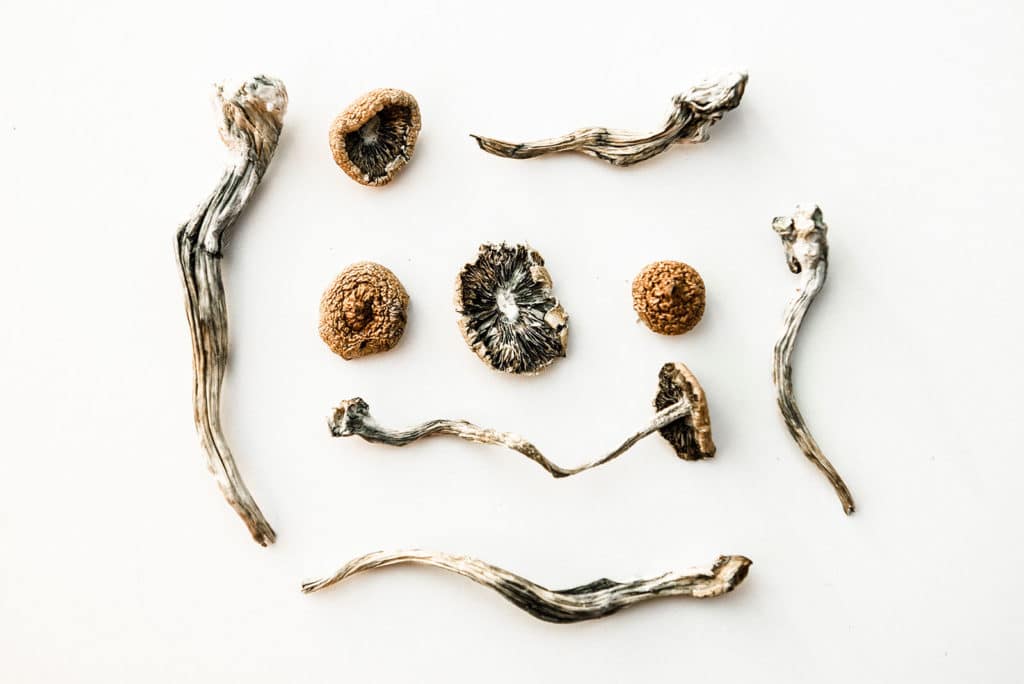 How Long Do Magic Mushrooms Stay In Your System?