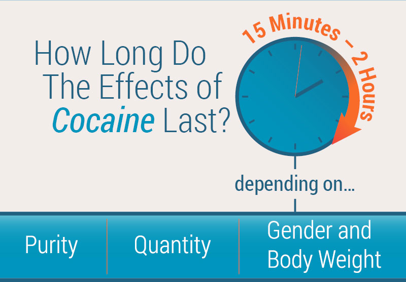 How Long Do the Effects of Cocaine Last? If you have higher levels of body fat, the drug can accumulate in that fatty tissue.

Here's a look at the factors that can affect how long cocaine stays in your system.