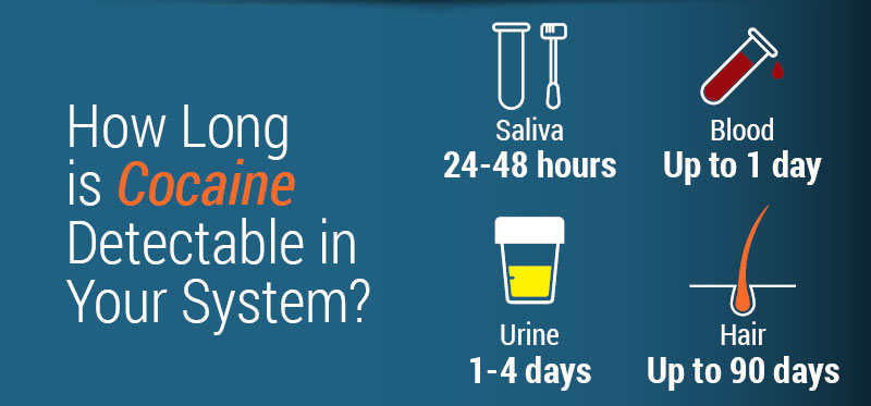 How long is cocaine detectable in your system? Cocaine metabolites may stay in your hair for up to three months.